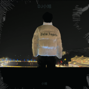 收聽小旭的月亮代表我的心裏有問題 (cover: 三角COOL) (其他)歌詞歌曲