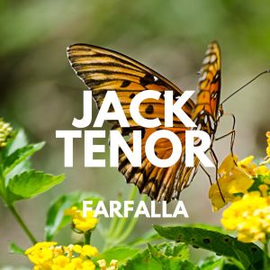 Album Farfalla from 