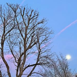 ดาวน์โหลดและฟังเพลง Under The River (feat. Mixolydian Dreamer) พร้อมเนื้อเพลงจาก Signal Valley