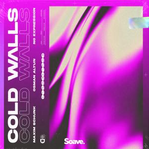 Album Cold Walls from Maxim Schunk