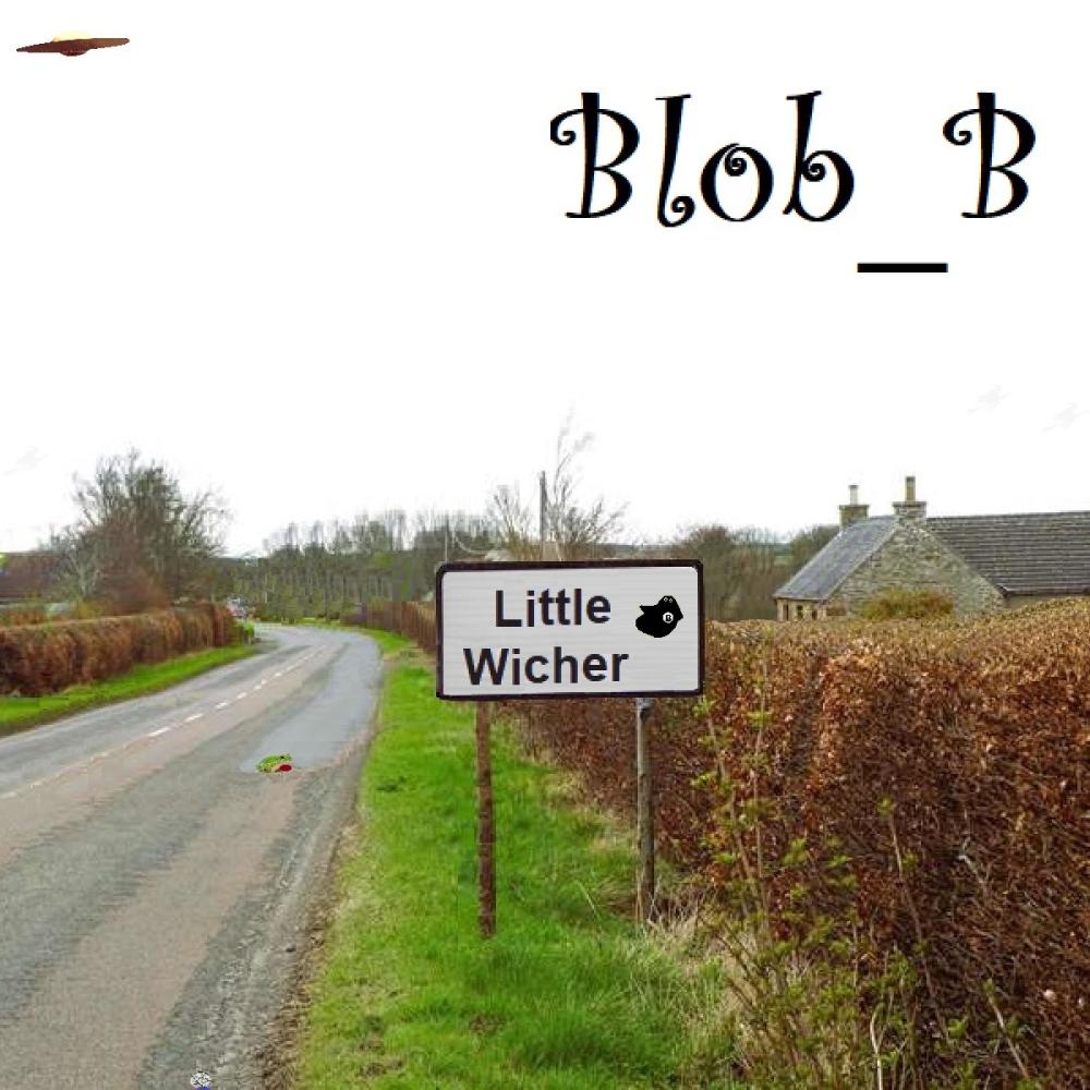 Little Wicher