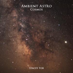 Album Ambient Astro Cosmos from Stacey Fox