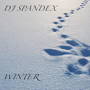 ดาวน์โหลดและฟังเพลง Winter พร้อมเนื้อเพลงจาก DJ Spandex