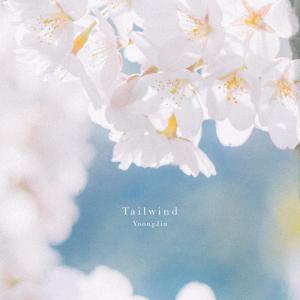 융진的專輯Tailwind