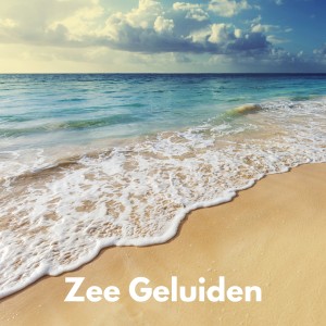 Natuurgeluiden的专辑Zee Geluiden