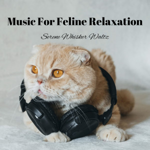 Album Music For Feline Relaxation: Serene Whisker Waltz from Evening Chillout Playlist