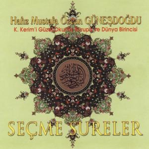 Mustafa Özcan Güneşdoğdu的专辑Seçme Sureler