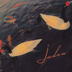 Listen to Jadeo song with lyrics from Yuls