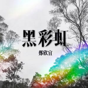 Listen to 黑彩虹 song with lyrics from Joyce Cheng (郑欣宜)