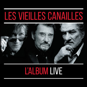 ดาวน์โหลดและฟังเพลง Les cactus (Live) พร้อมเนื้อเพลงจาก Johnny Hallyday