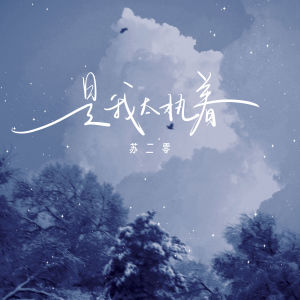 Album 是我太执着 from 苏二零