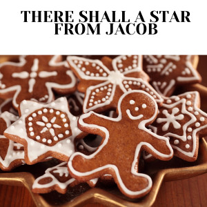 Mormon Tabernacle Choir的专辑There Shall a Star from Jacob