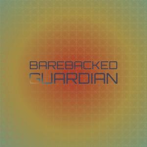 收聽Magdala Meah的Refracting Illuminated歌詞歌曲