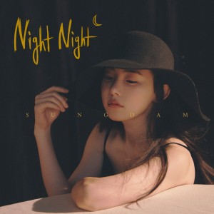 收聽성담的Night Night歌詞歌曲