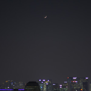 Listen to AS BEFORE, AS ALWAYS song with lyrics from 디너 코트