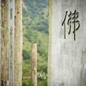收聽禪修音樂盒的水中葉 (古琴禪修音樂)歌詞歌曲