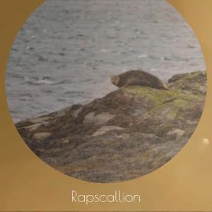 Various的专辑Rapscallion