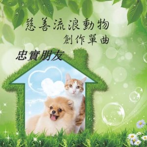Listen to Loyal friend (Charity stray animal creation single) song with lyrics from 黄晨轩