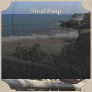 อัลบัม Steal Poop ศิลปิน Various