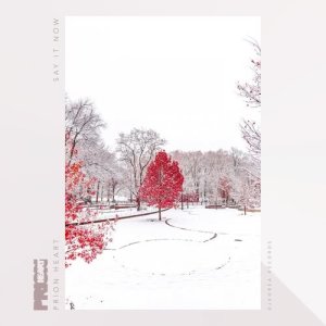 收聽Prion Heart的Say It Now歌詞歌曲