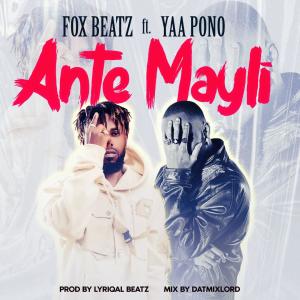 อัลบัม Ante Mayli (feat. Yaa Pono) ศิลปิน Yaa Pono