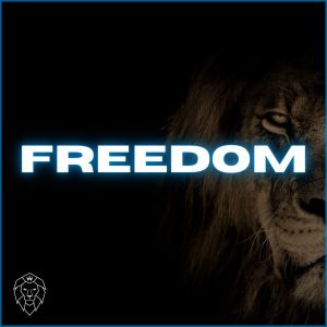 Album Freedom (Radio Mix) oleh Florian