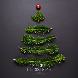 ดาวน์โหลดและฟังเพลง Sleigh Ride (1963) พร้อมเนื้อเพลงจาก The Ronettes