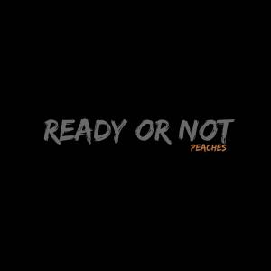 อัลบัม Ready or Not (Radio Edit) ศิลปิน Peaches