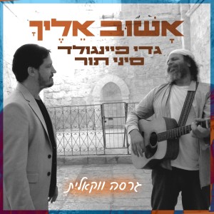 收聽Gadi Finegold的אשוב אליך (ווקאלי)歌詞歌曲
