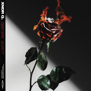 Listen to Don't Stay (Explicit) song with lyrics from Xndr Q.