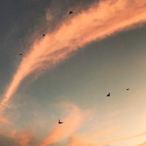 收聽ธาดา的นก歌詞歌曲