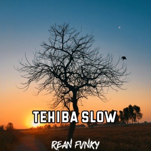 Dengarkan Tehiba Slow (Remix) lagu dari Rean Fvnky dengan lirik