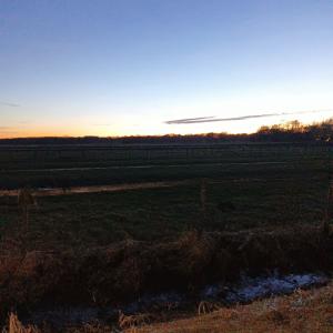 ดาวน์โหลดและฟังเพลง Cut Me Out (Explicit) พร้อมเนื้อเพลงจาก nokerb