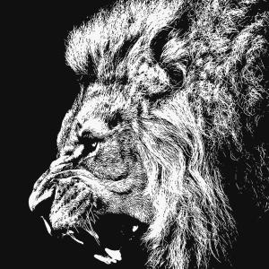 Bethel Worship的專輯LION