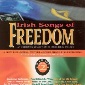 ดาวน์โหลดและฟังเพลง Black & Tan Gun พร้อมเนื้อเพลงจาก Ray McAreavey