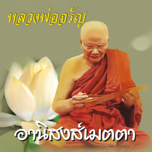 ดาวน์โหลดและฟังเพลง อานิสงส์เมตตา พร้อมเนื้อเพลงจาก หลวงพ่อจรัญ ฐิตธมฺโม