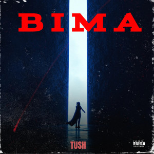 Tush的专辑BIMA (Explicit)