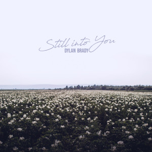 ดาวน์โหลดและฟังเพลง Still Into You พร้อมเนื้อเพลงจาก Dylan Brady