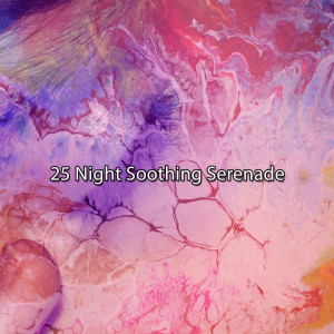 Thunderstorm的专辑25 Night Soothing Serenade