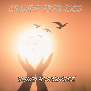 Album Grande Eres Dios from David Hernandez