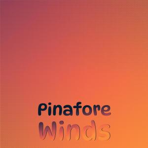 Album Pinafore Winds oleh Various