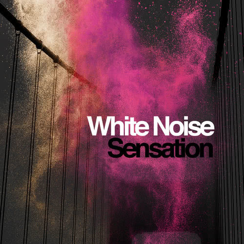 White Noise: Standing Fans