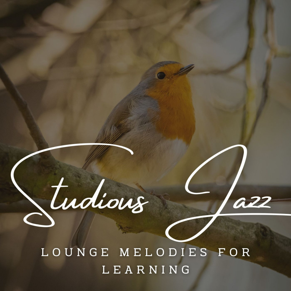 Reflective Jazz Learning