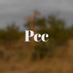 Listen to Hot Elan song with lyrics from Charl Chelley