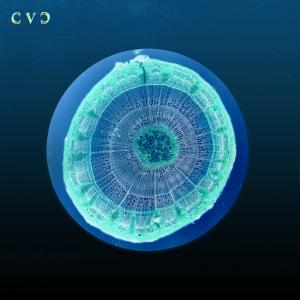 Yali Marley的專輯CVC (Explicit)