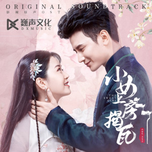 Listen to 烦恼别找我 (《小女上房揭瓦》影视剧片头曲) (《小女上房揭瓦》影視劇片頭曲) (纯音乐) song with lyrics from 双笙