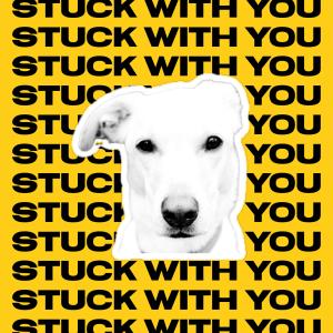 The Branches的專輯Stuck With You