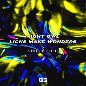 Album Night Owl / Licks Make Wonders oleh Shunji Fujii