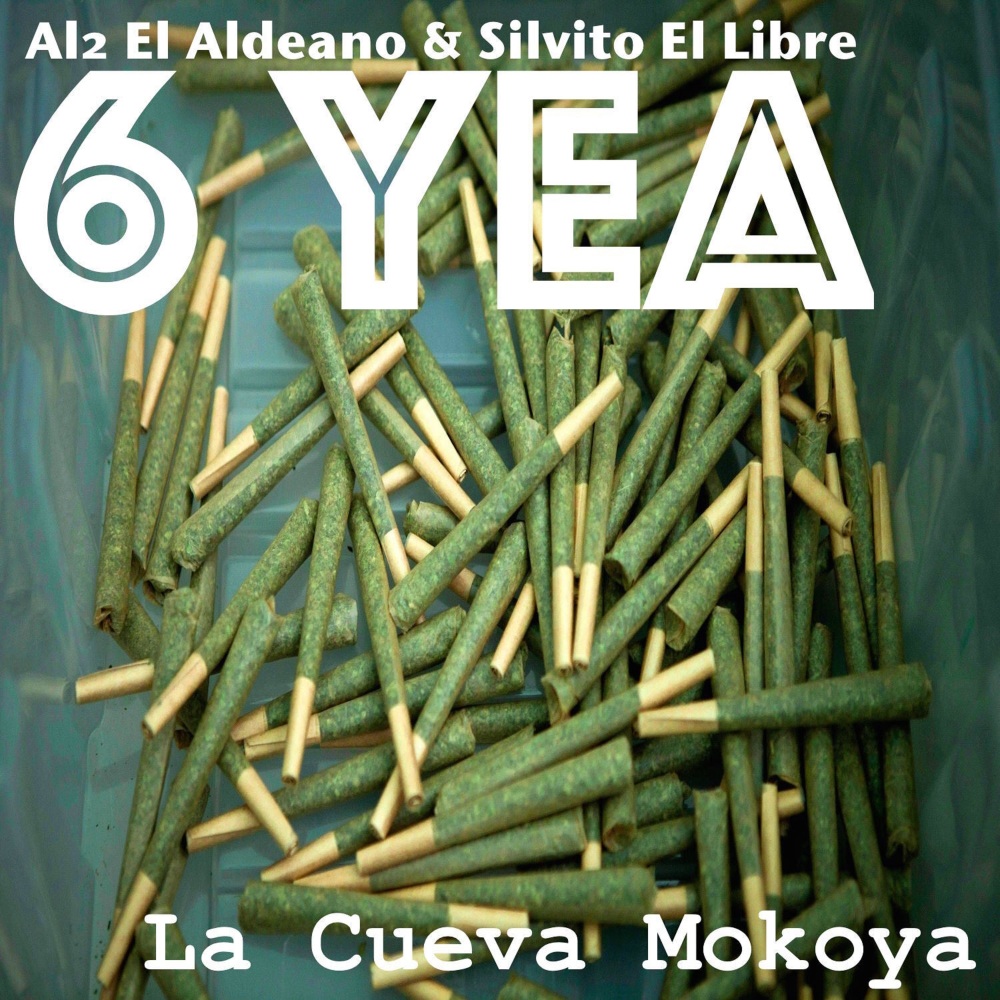 6 Yea