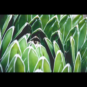 Listen to Study with Me song with lyrics from Zen Music Garden